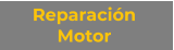 Reparación Motor
