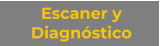 Escaner y Diagnóstico