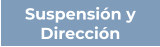 Suspensión y Dirección